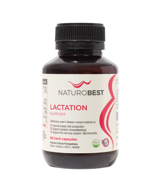 NATUROBEST LACTATION SUPPORT