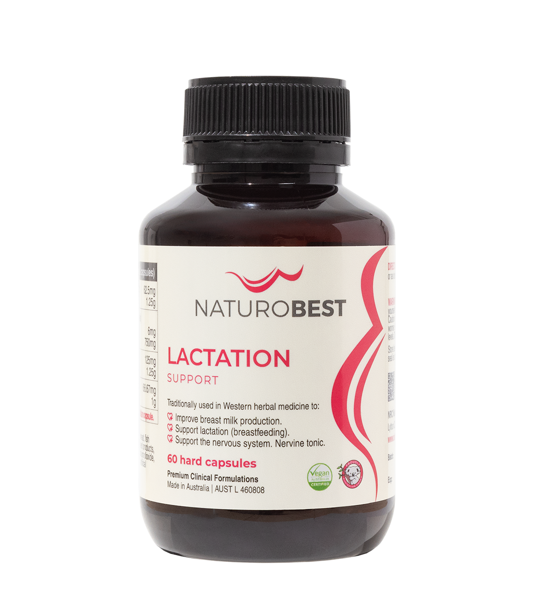 NATUROBEST LACTATION SUPPORT